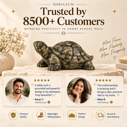 Natural Pyrite Tortoise for Wealth & Prosperity